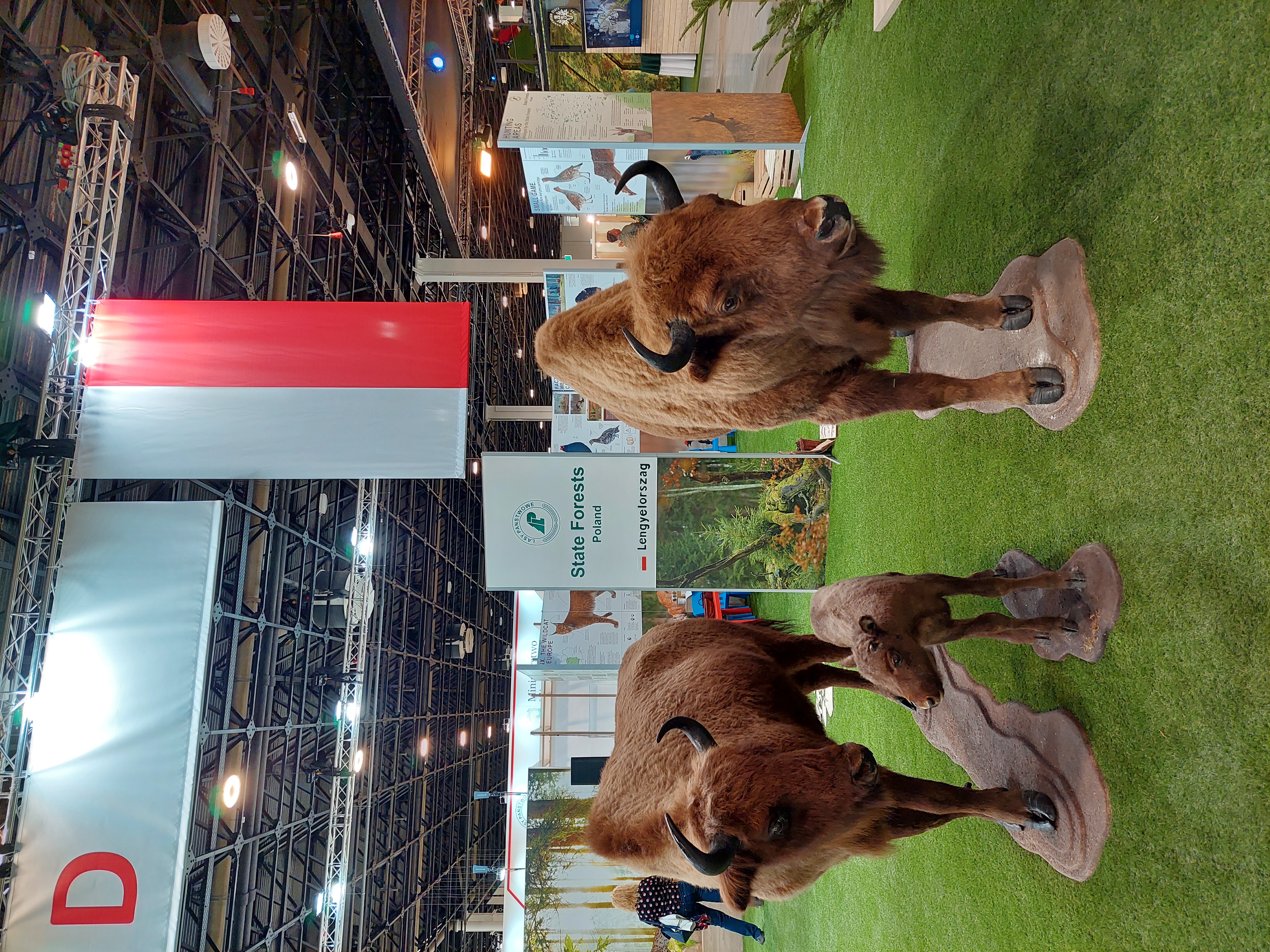 Vadászati Világkiállítás