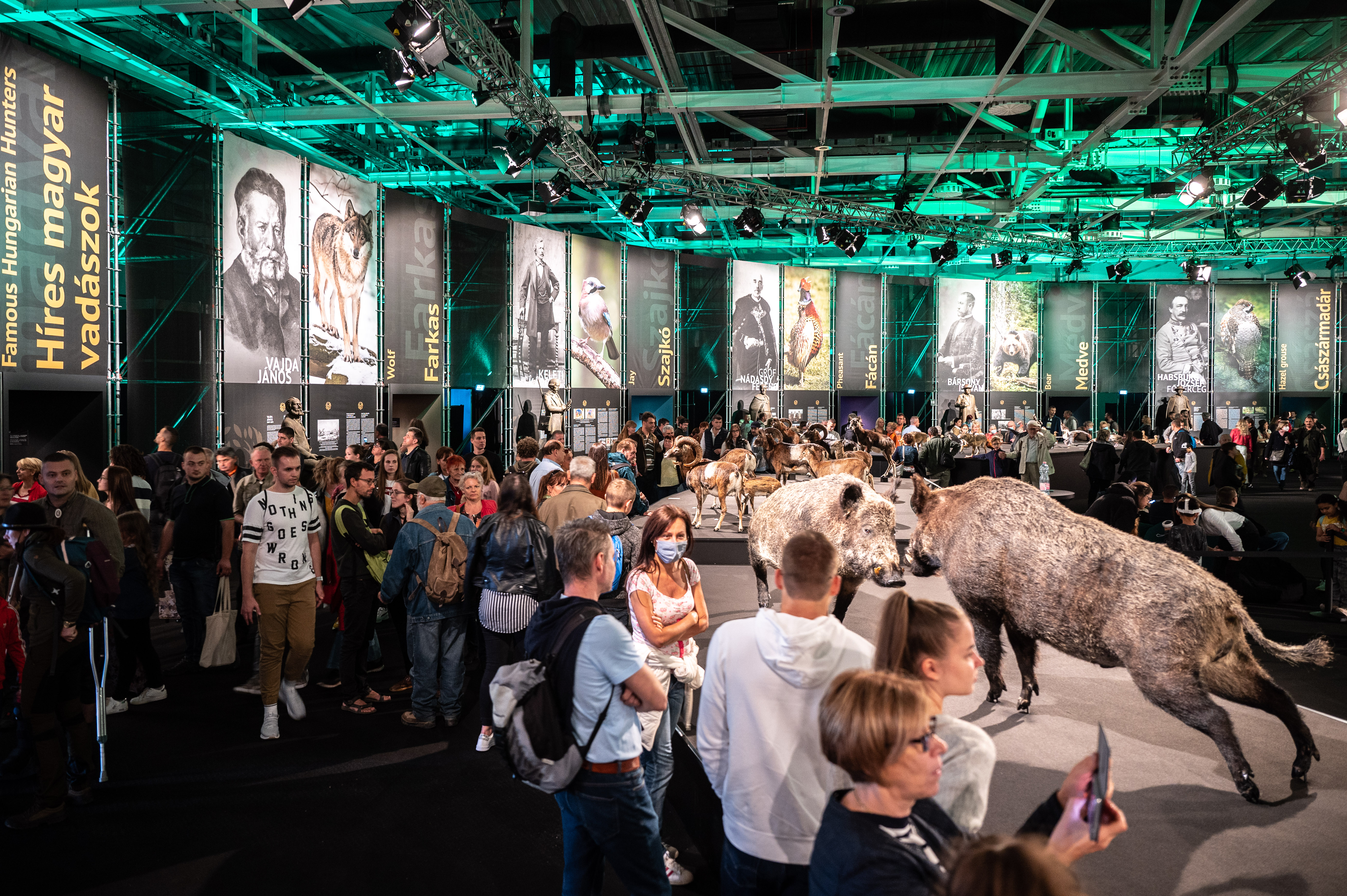 Vadászati Világkiállítás