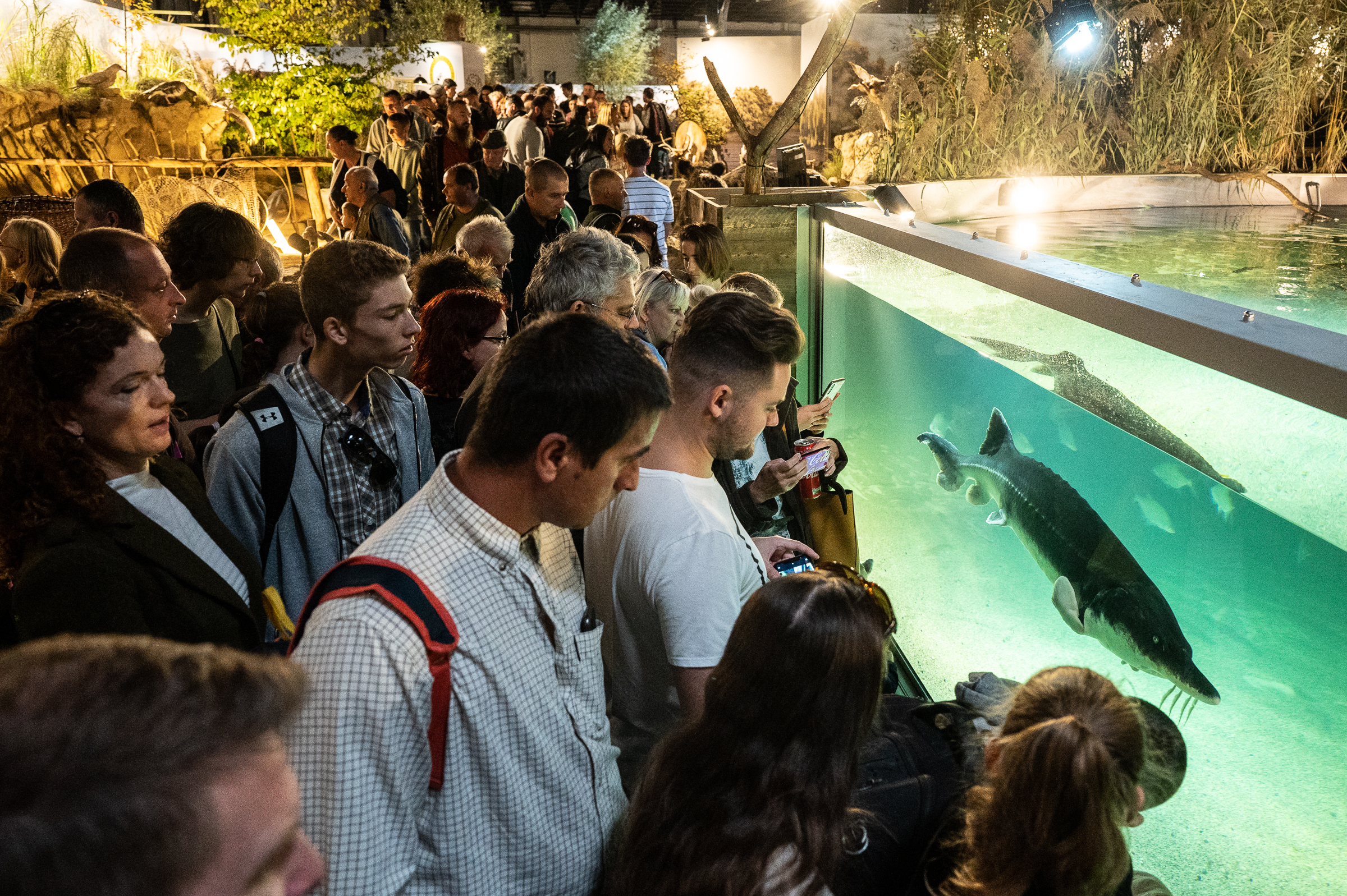 Vadászati Világkiállítás