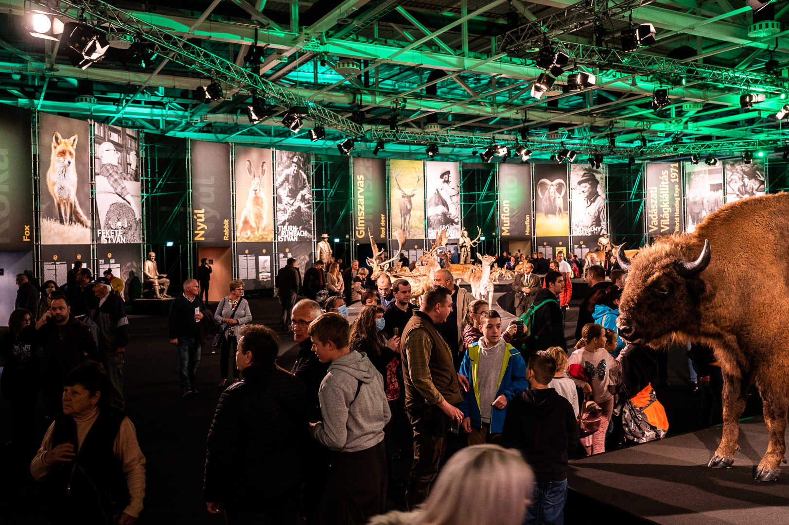 Vadászati Világkiállítás