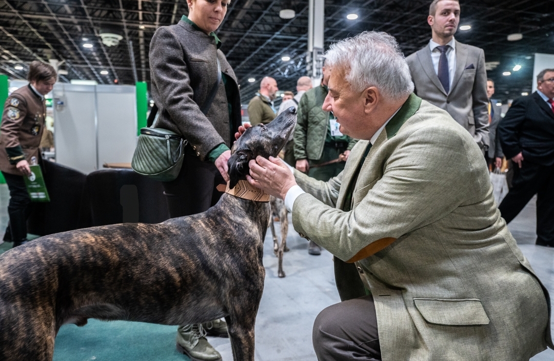 Semjén Zsolt a 2023-as FeHoVa-n