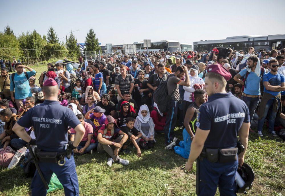 migransok