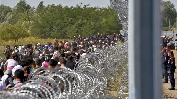 migransok