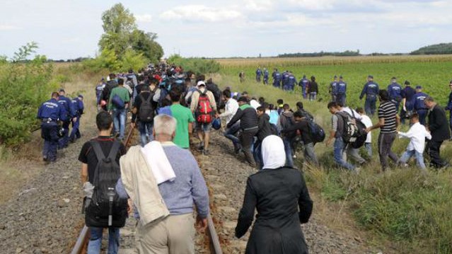 migransok