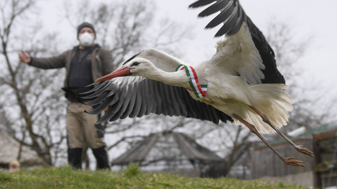 Hortobágyi Madárkóház