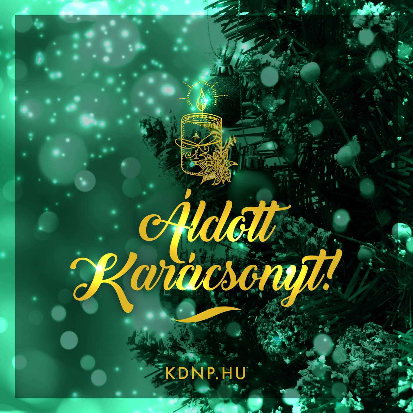 Áldott Karácsonyt!