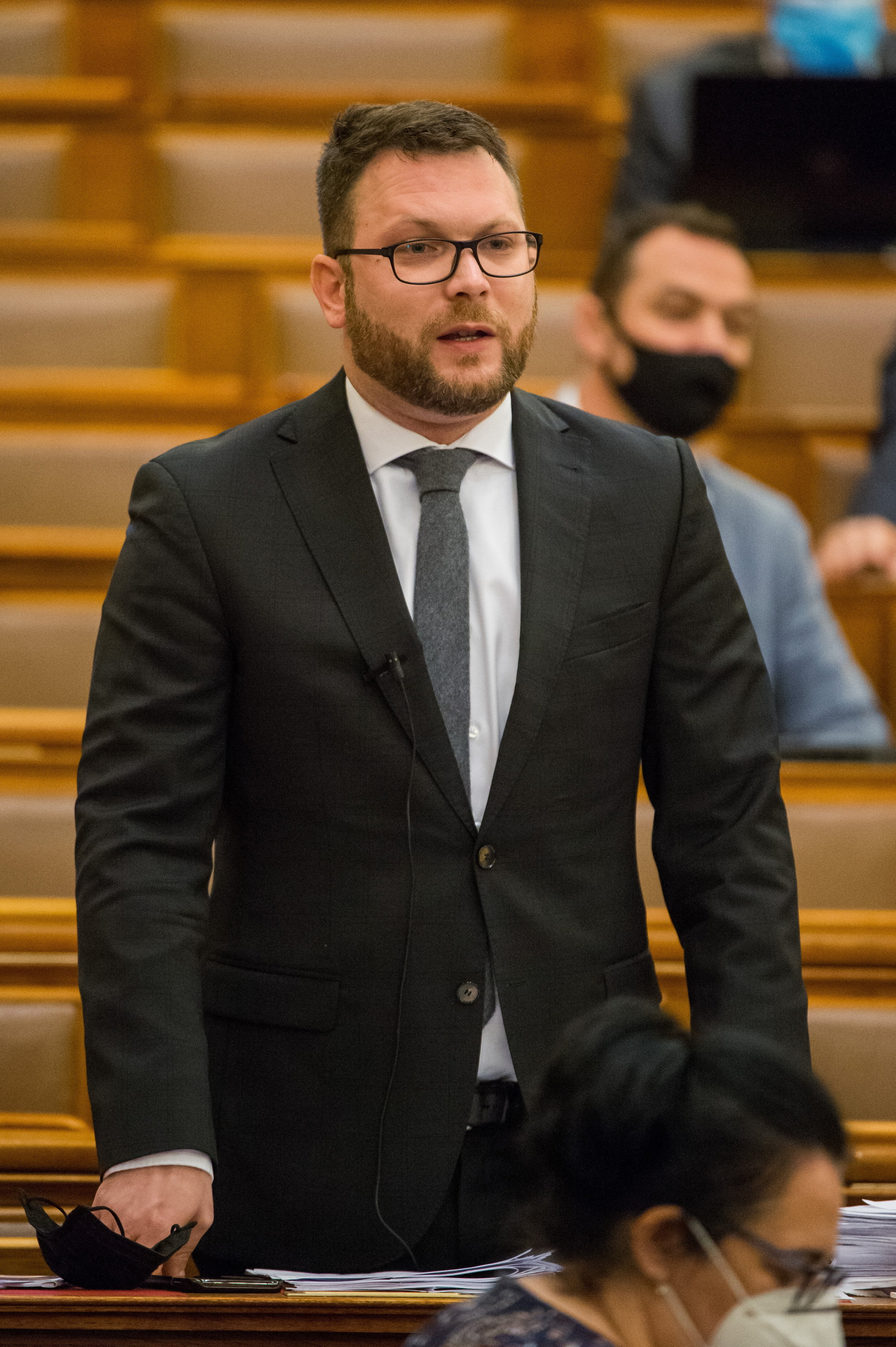 Schanda Tamás