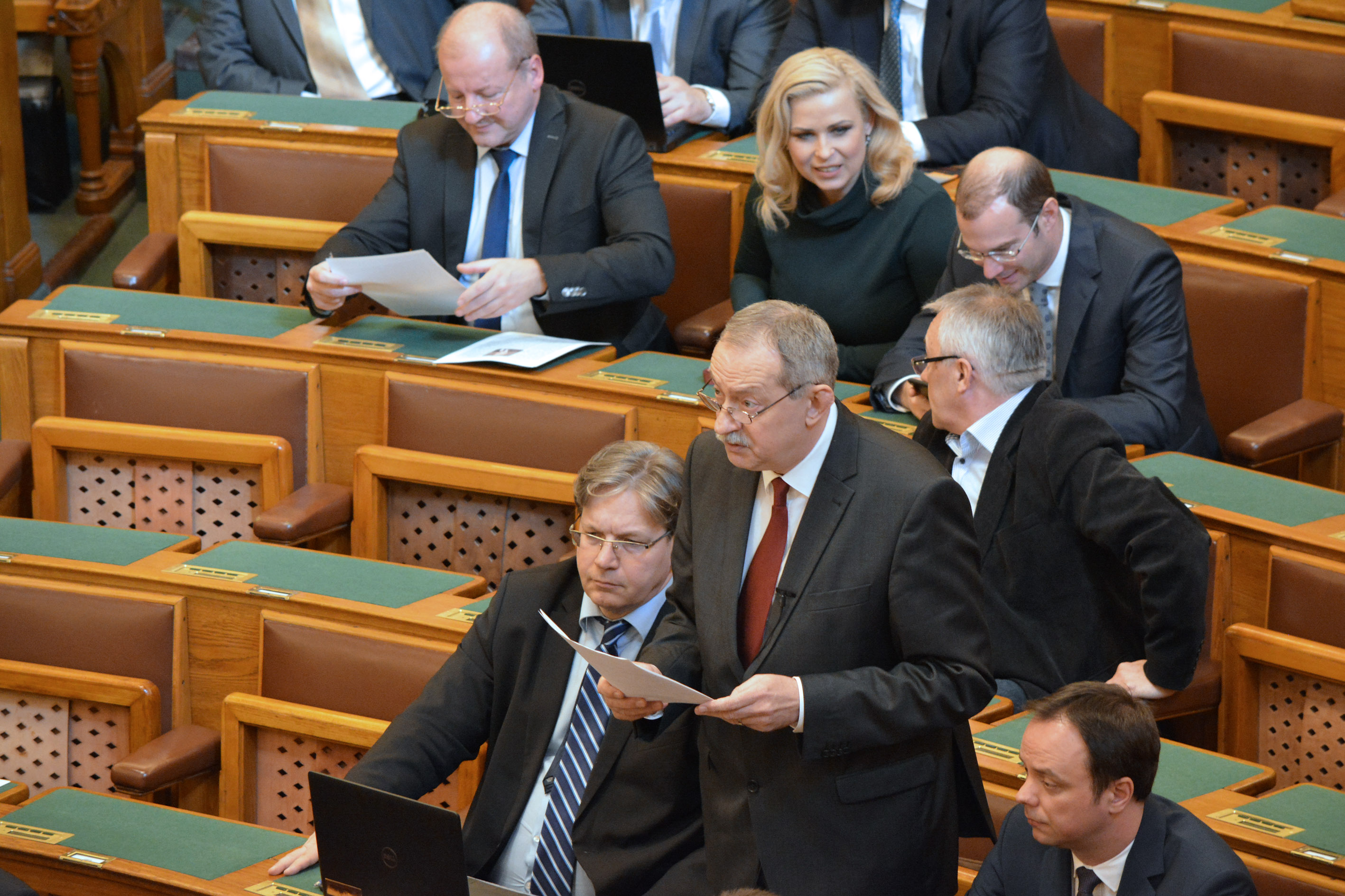 Szászfalvi László