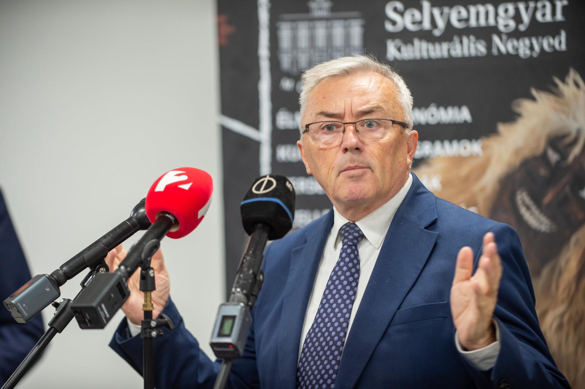 Hargitai János